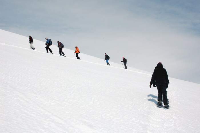 Oceanwide Expeditions Snowshoeing in Antarctica_Elke Lindner.jpeg